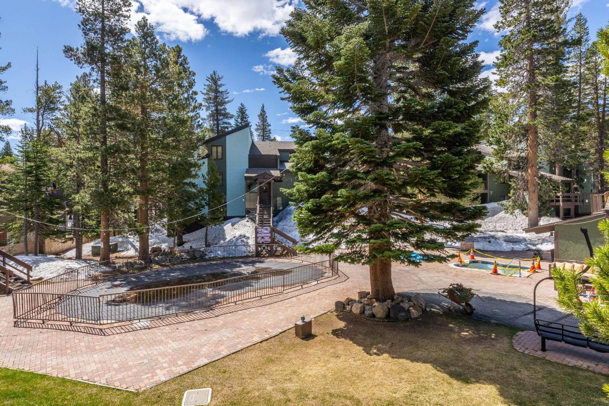 Fully Renovated! St Anton #17 Ski In Ski Out 1 Bedroom 1 Bathroom Condo! Sleeps Up To 4! Mammoth Lakes Exteriör bild